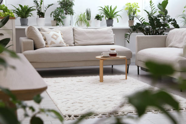 The Art of Sofa Shopping: A Complete Guide to Finding Your Perfect Match