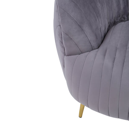 Florin Grey Velvet Chair With Gold Legs