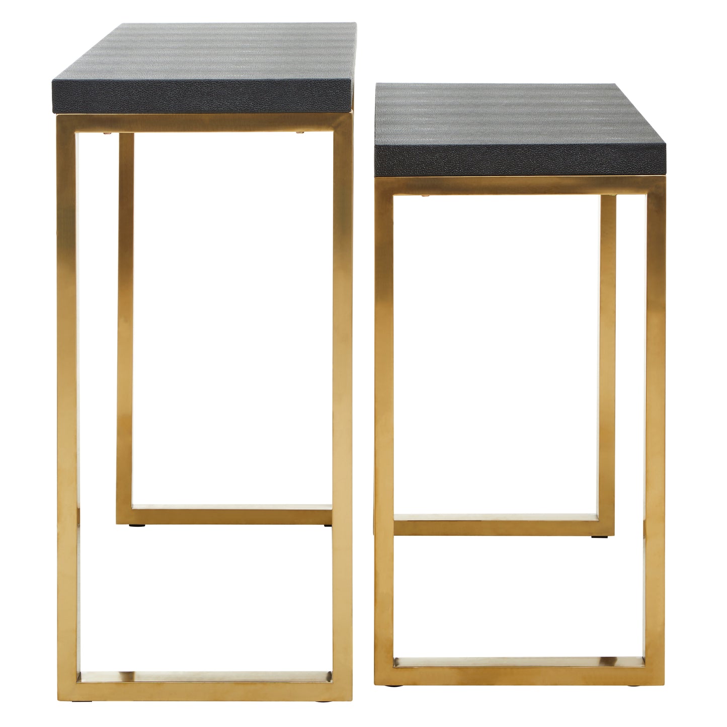 Doba Set Of 2 Black Shagreen Console Tables