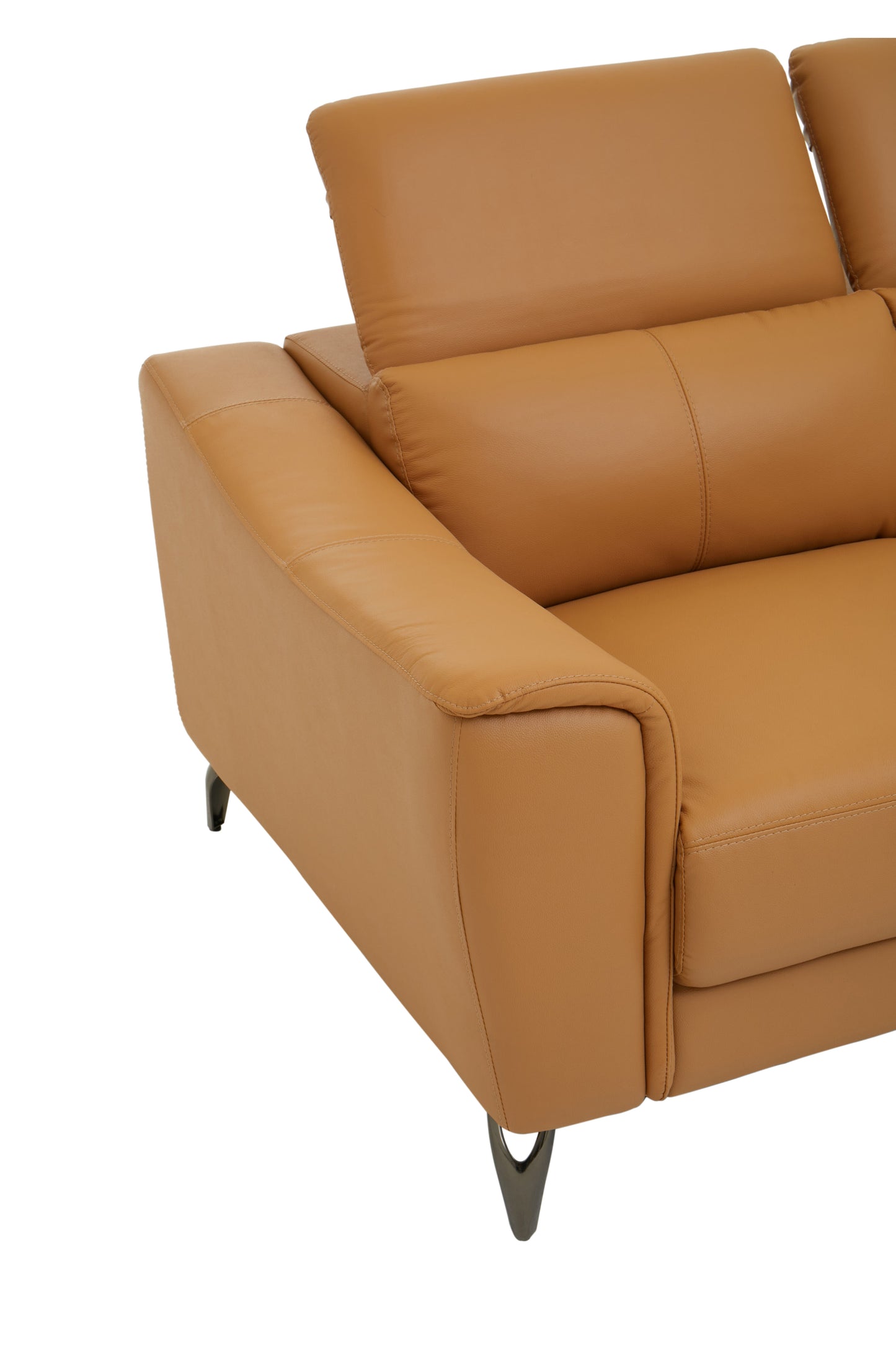 Padur 2 Seater Leather Sofa