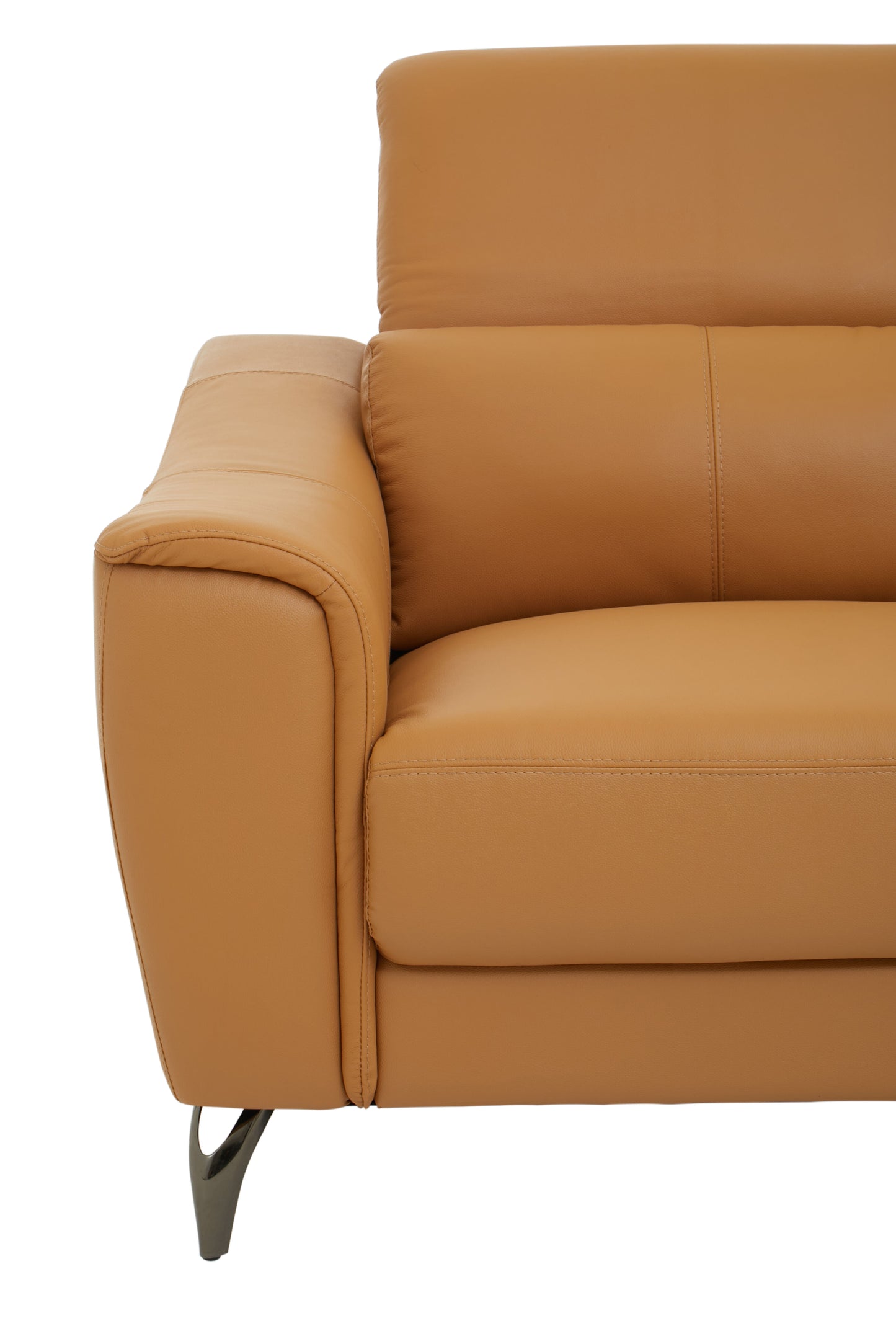 Padur 2 Seater Leather Sofa