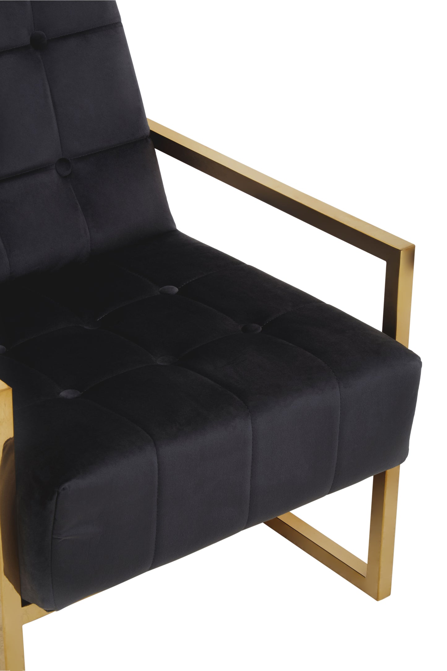 Lana Black Velvet Chair With Gold Frame